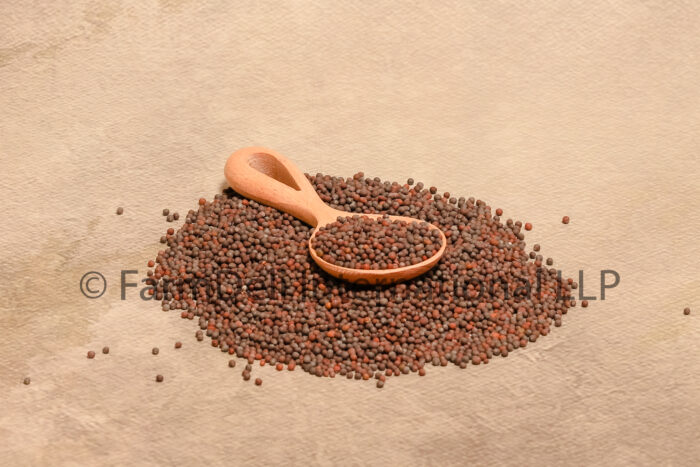 3 Mustard Seeds A